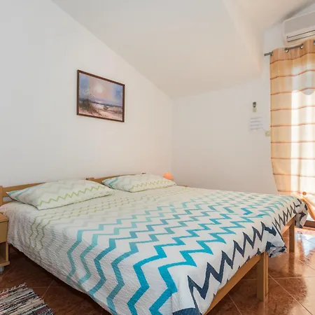 Kamelija * Rovinj